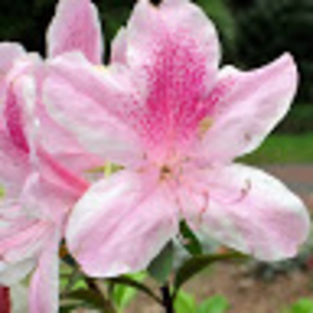 Meet your Posher, A. g. n.